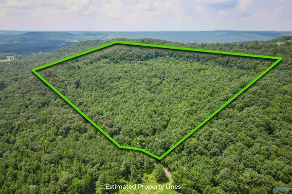 80 acres Pines Church Road, Somerville, AL 35670