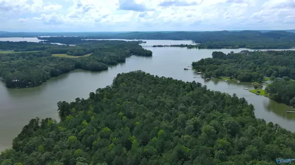 Hwy 9 County Road 92, Cedar Bluff, AL 35959