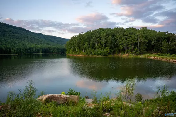 Leesburg, AL 35983,1,157 AC County Road 505