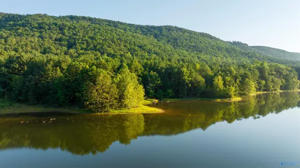 Leesburg, AL 35983,1,157 AC County Road 505