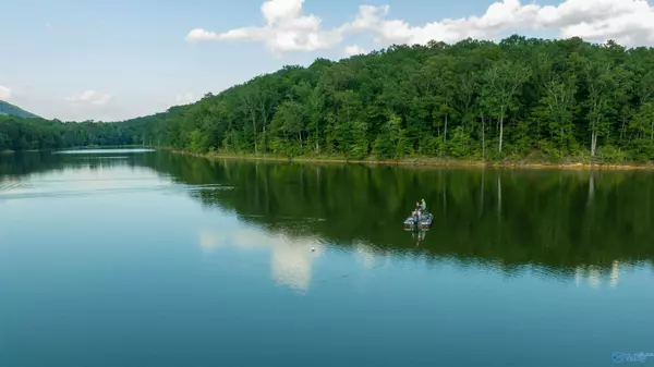 Leesburg, AL 35983,1,157 AC County Road 505