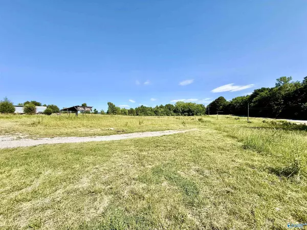 6.63 acres Highway 117, Stevenson, AL 35772