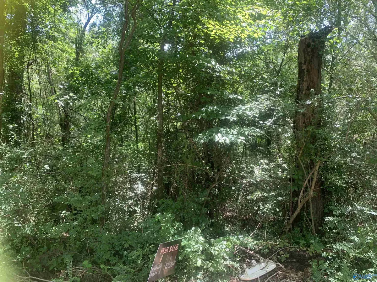 Hartselle, AL 35640,1 Brewer Street SE