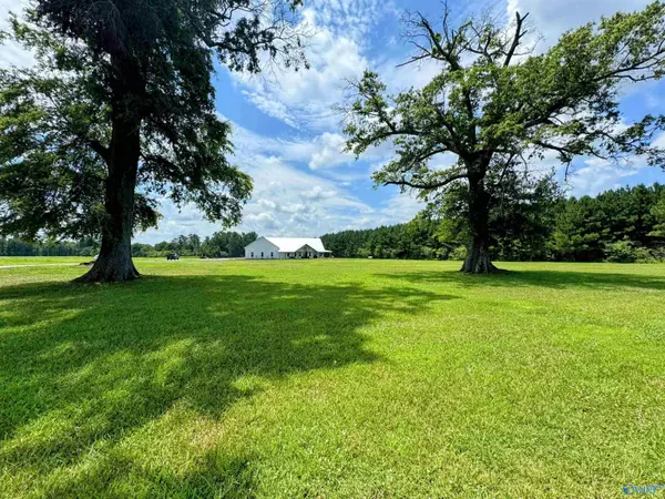 Dutton, AL 35744,1280 County Road 395