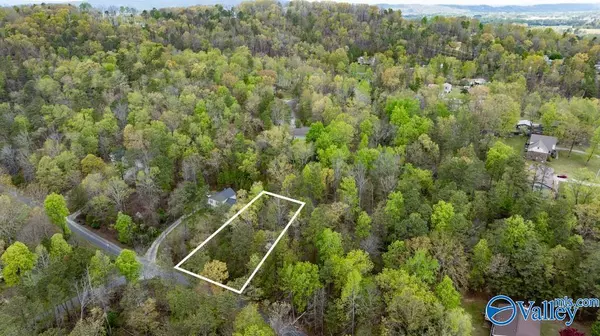 lot 62 Dianne Avenue, Southside, AL 35907