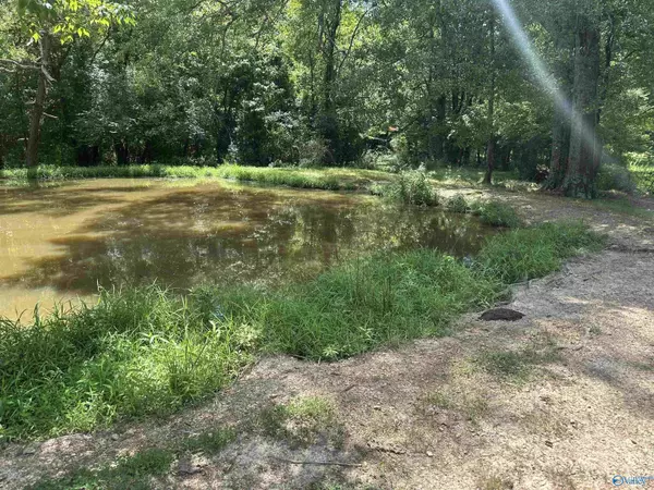 Athens, AL 35611,9.1 Ham Road