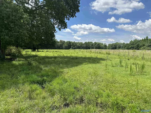 Athens, AL 35611,9.2 Ham Road