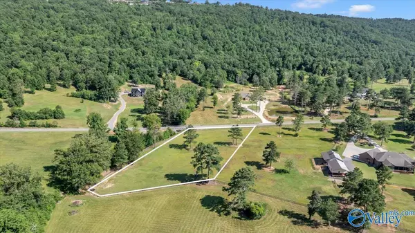 Langston, AL 35755,2.21AC Lot County Road 67