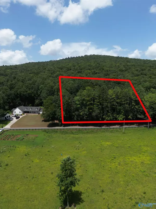 Hollytree, AL 35751,2829 County Road 4