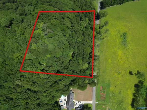 Hollytree, AL 35751,2829 County Road 4