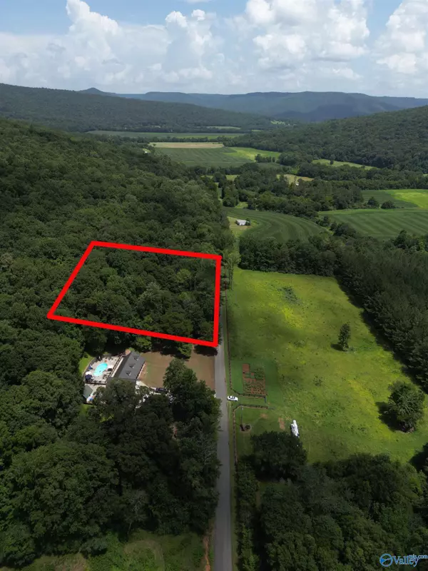 2829 County Road 4, Hollytree, AL 35751