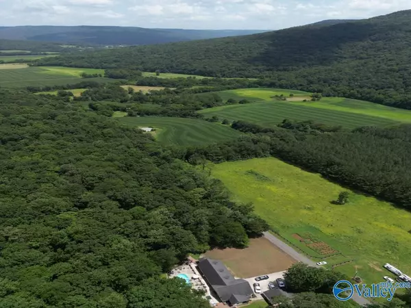 Hollytree, AL 35751,2829 County Road 4