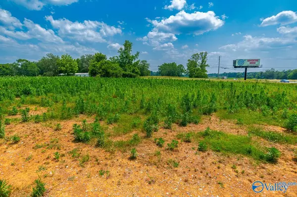 Hazel Green, AL 35750,Hwy 231 Highway 231/431