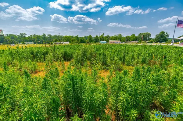 Hazel Green, AL 35750,Hwy 231 Highway 231/431