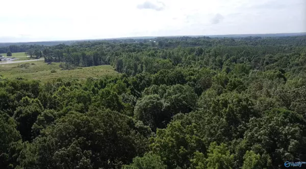 Vinemont, AL 35179,14959 Alabama Highway 157