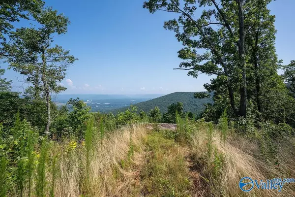 Flat Rock, AL 35966,21.4 County Road 14