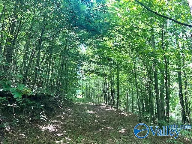 Altoona, AL 35952,0031 Murphree Valley Road