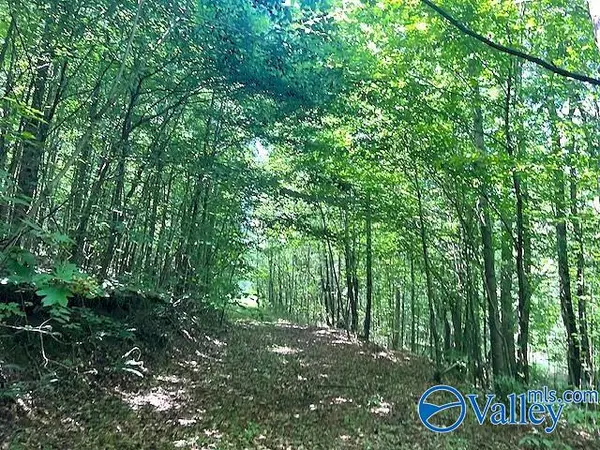 0031 Murphree Valley Road, Altoona, AL 35952