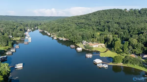 Guntersville, AL 35976,4125 Hideaway Drive