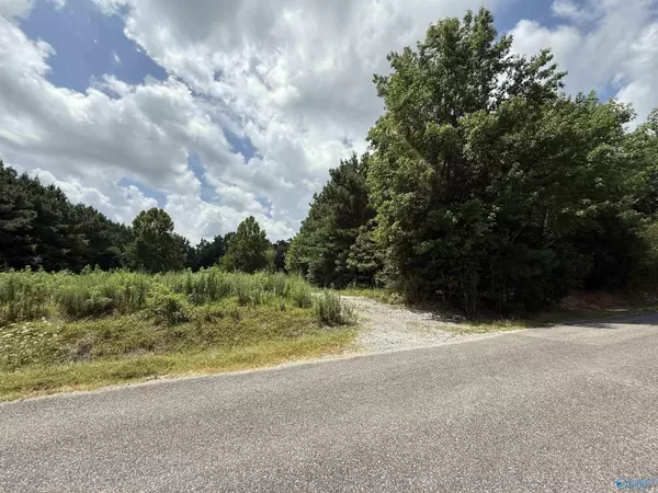 Altoona, AL 35952,25 Acres Dee Hicks Road