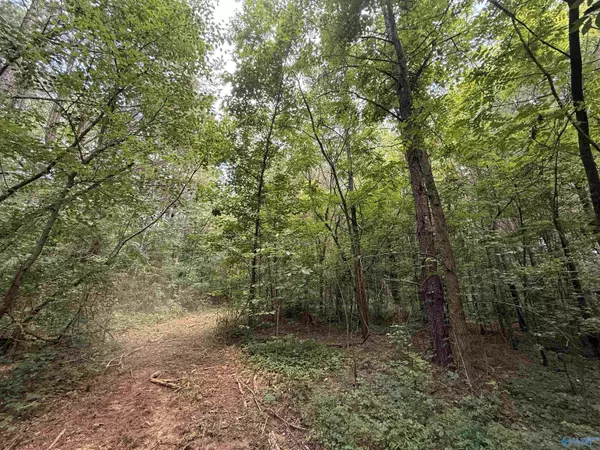 Altoona, AL 35952,25 Acres Dee Hicks Road