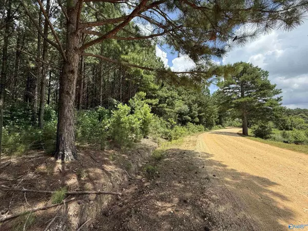 Altoona, AL 35952,25 Acres Silo Road