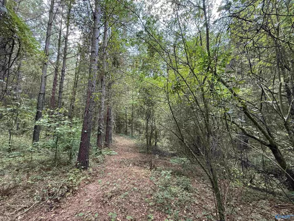 Altoona, AL 35952,25 Acres Silo Road