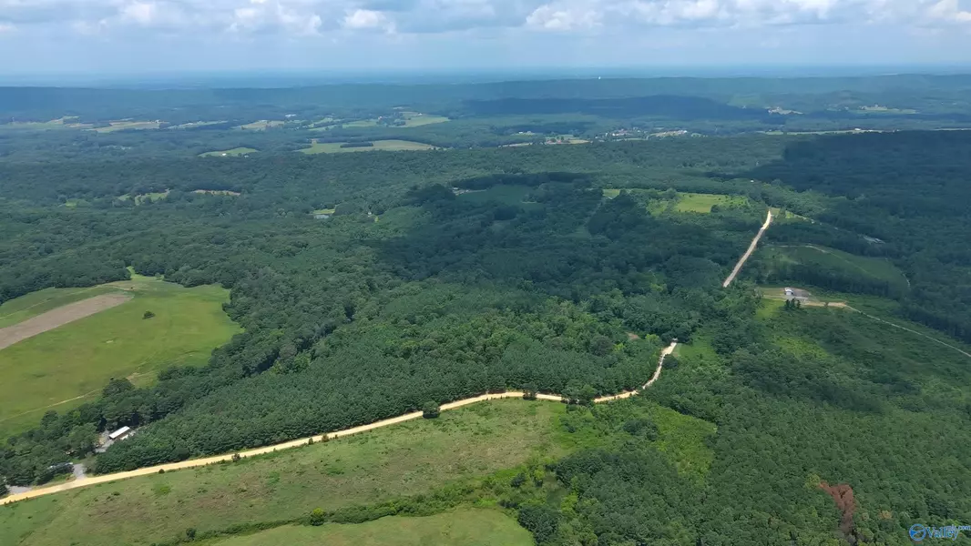 25 Acres Silo Road, Altoona, AL 35952