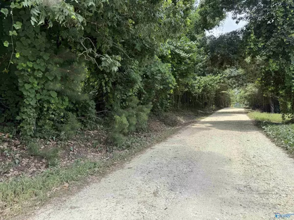 Altoona, AL 35952,21 AC Silo Road