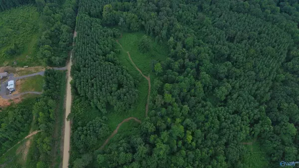29 AC Silo Road, Altoona, AL 35952