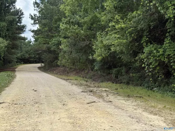 Altoona, AL 35952,21 AC Silo Road