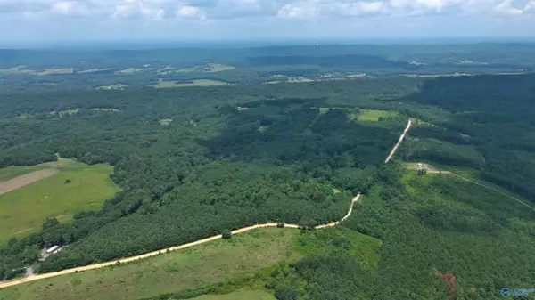 Altoona, AL 35952,21 AC Silo Road