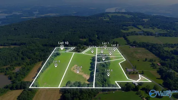 Pisgah, AL 35765,Lot 4 County Road 462