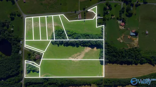 Pisgah, AL 35765,Lot 6 County Road 462