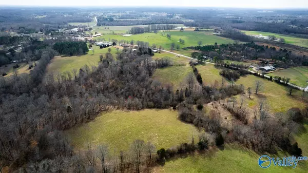 Anderson, AL 35610,Tract 2 County Road 656