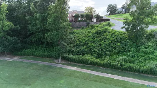 Guntersville, AL 35796,Lot 42 Spy Glass Cove