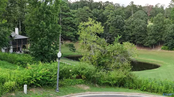 Guntersville, AL 35796,Lot 41 Spy Glass Cove