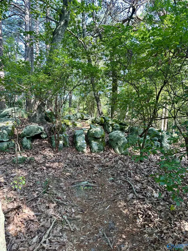 Mentone, AL 35984,16 +/- acres Road 934