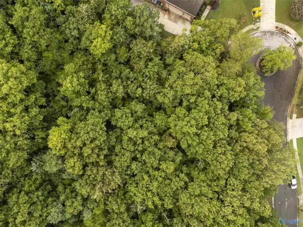 Huntsville, AL 35803,2015 Burlington Drive SE