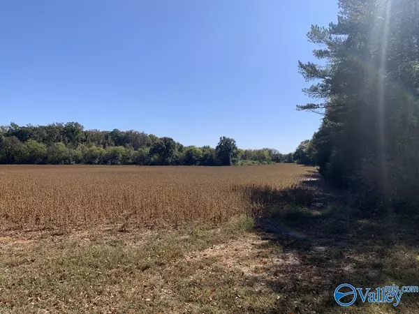 6.12 Acre County Line Road, Madison, AL 35758