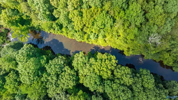 Mentone, AL 35984,4.5 ACRES County Road 632