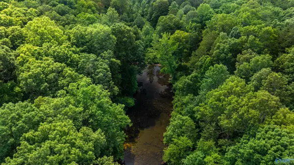 Mentone, AL 35984,4.5 ACRES County Road 632