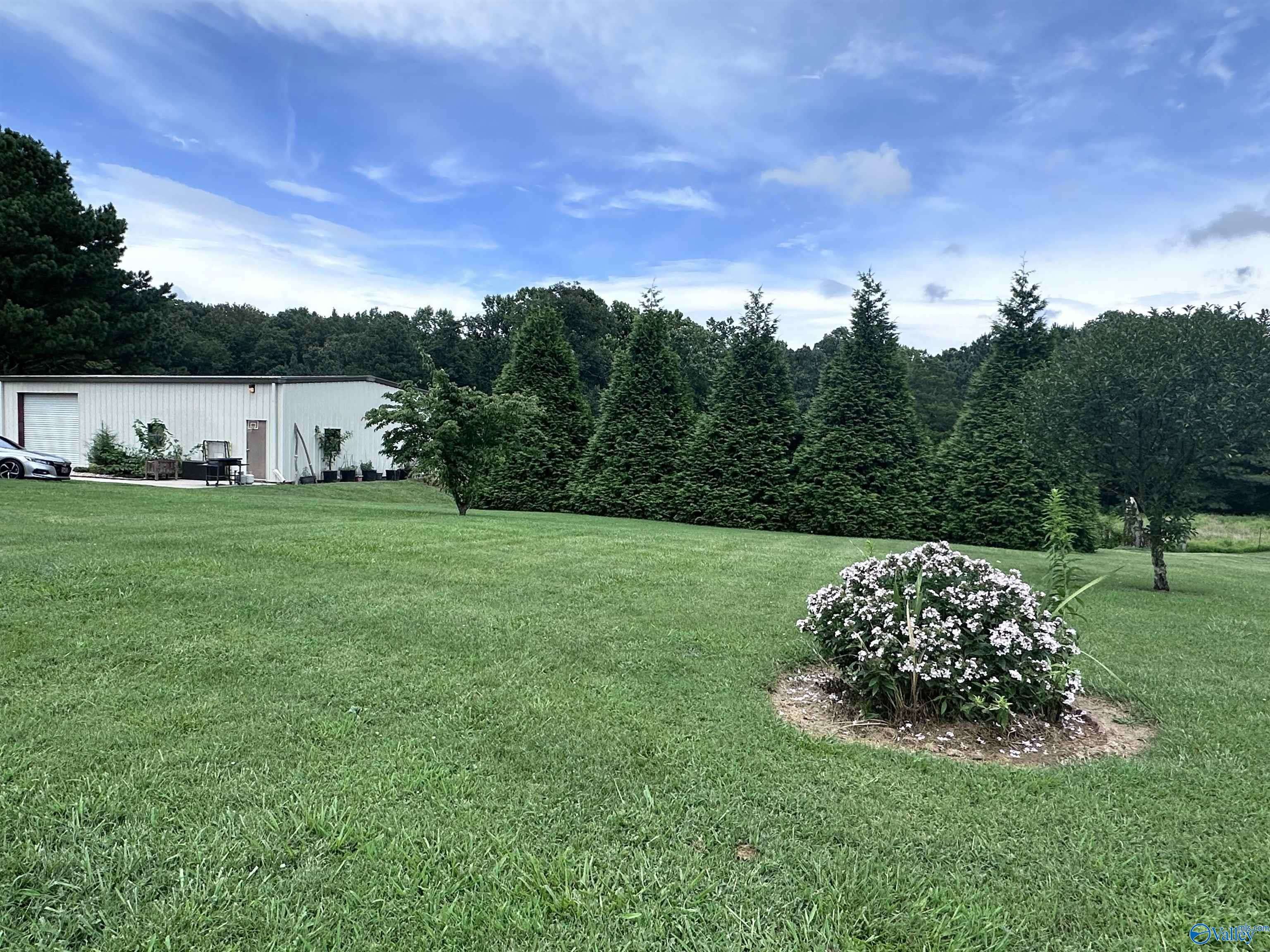 8971 County Road 14, Flat Rock, AL 35966