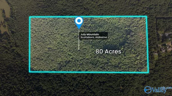 Scottsboro, AL 35768,80 Acres Bella Vista Drive