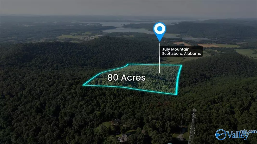 80 Acres Bella Vista Drive, Scottsboro, AL 35768