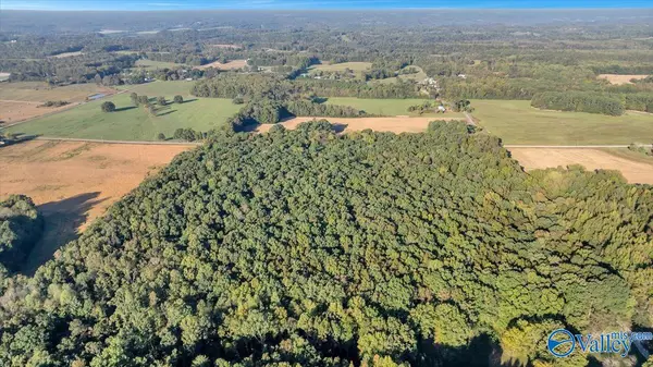 Lester, AL 35647,20 Acres Little Coffman Road