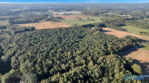 Lester, AL 35647,20 Acres Little Coffman Road