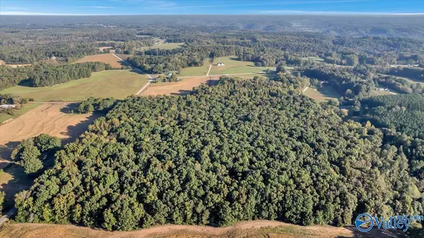 Lester, AL 35647,20 Acres Little Coffman Road