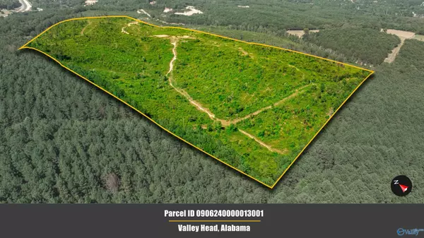 64 acres Bethel Road, Valley Head, AL 35989