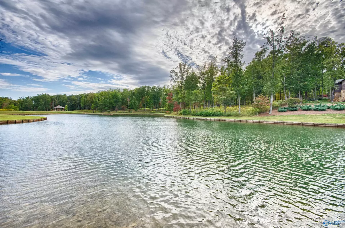 Huntsville, AL 35803,17 Winter Walk Way